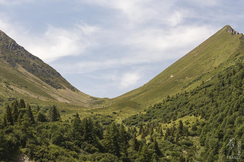 Col de tricot