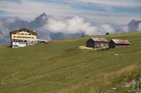 Alpine meadows