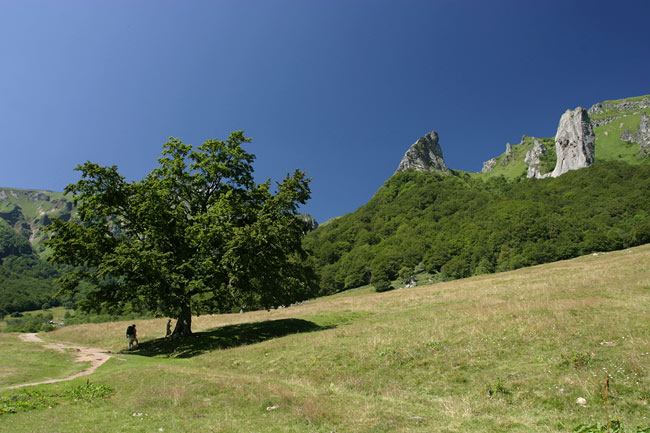 Dent de la rancune and crête de coq