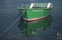 Green rowboat