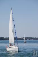 Sailing the gulf