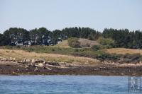 Gavrinis cairn and menhirs