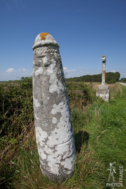 Stone and cross at Forest
