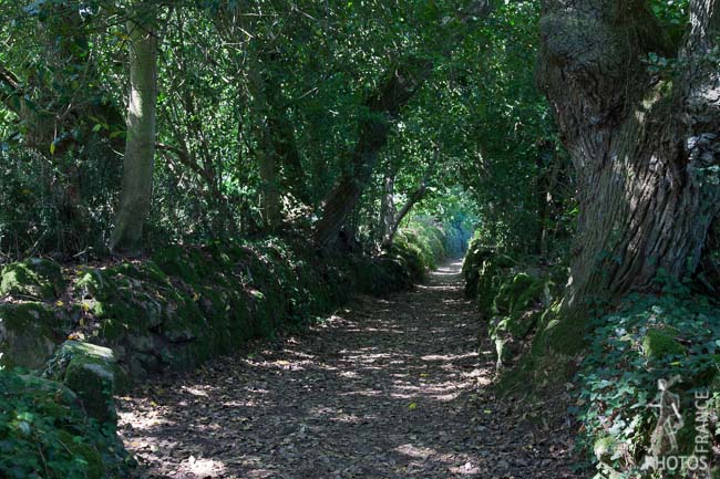 Chemin de Cadoudal