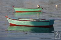 Twin rowboats