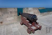Cannon on the ramparts