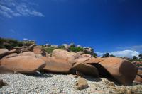 A whale of a rock