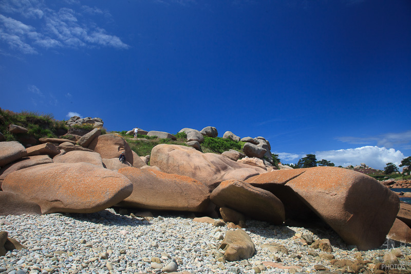 A whale of a rock