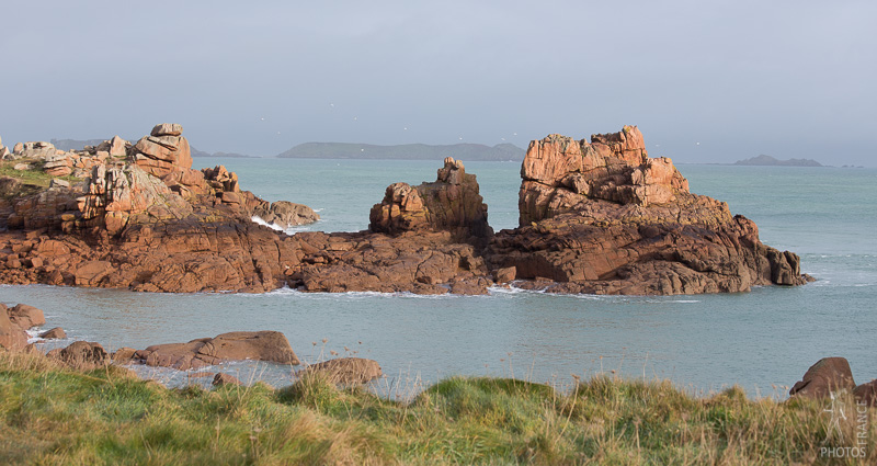 Pink craggy coast