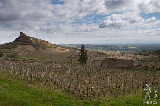 Roche de Solutré in the distance