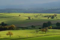 Rural landscape