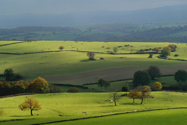 Rural landscape