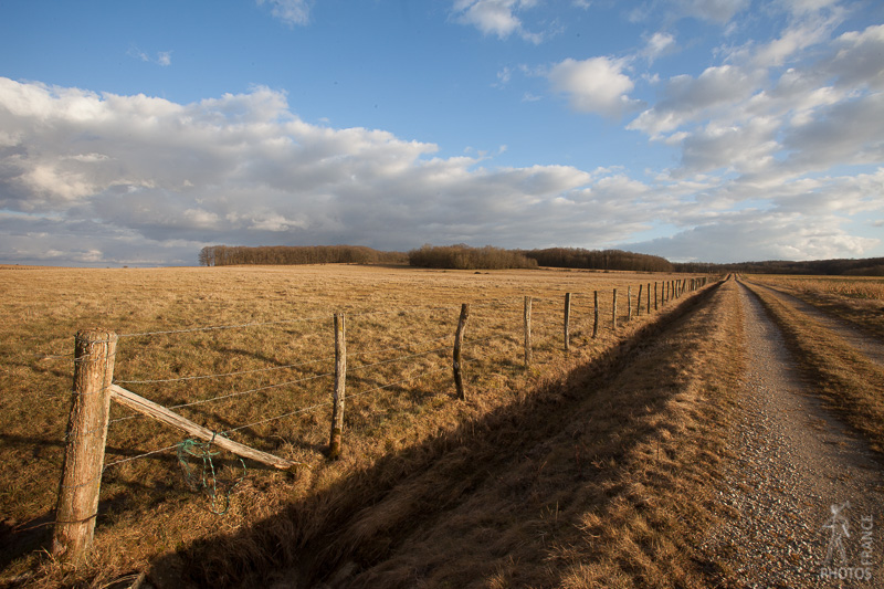 Endless road