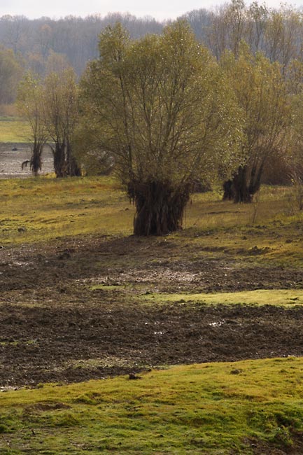 Low waters in Lake Amance