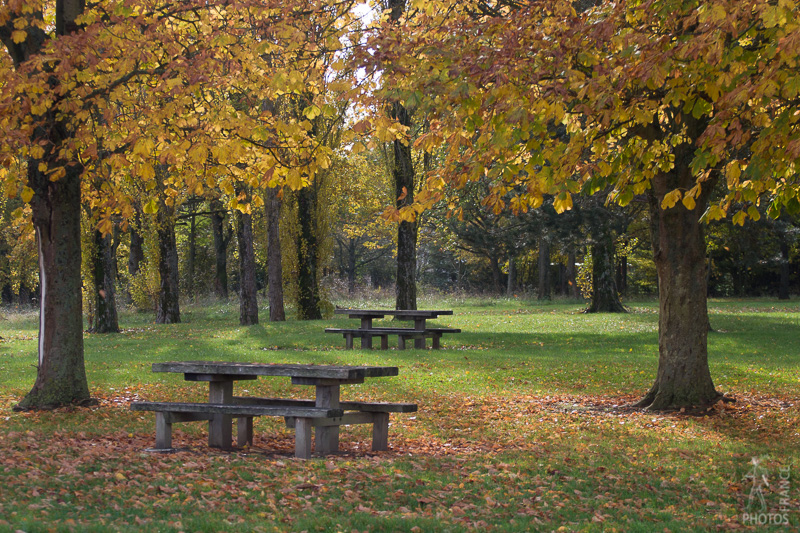 Picnic tables in Fall