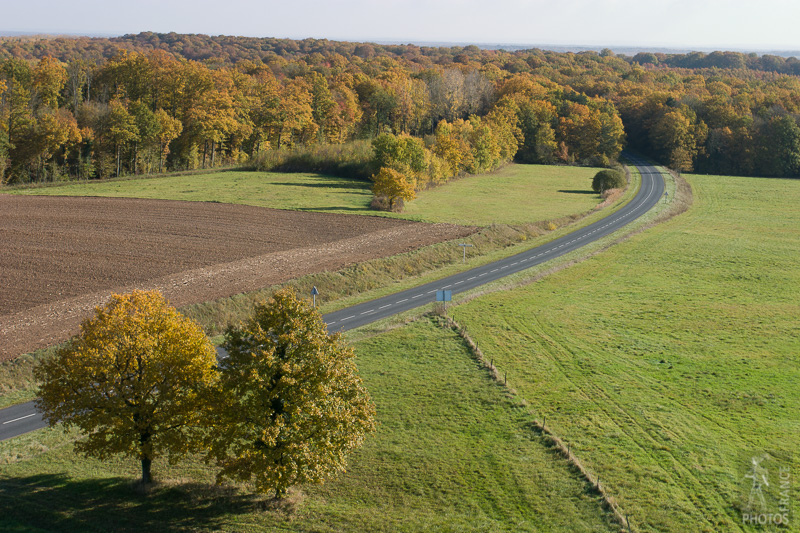 Autumn road