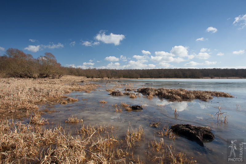 Frozen shore