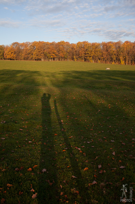 Shadows of Autumn