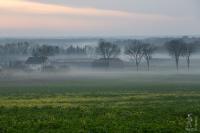 Mist in the farm