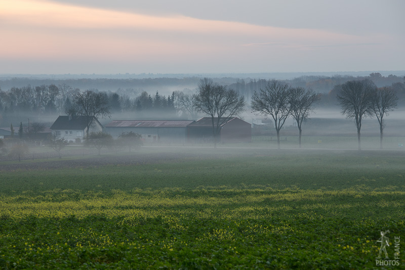 Mist in the farm