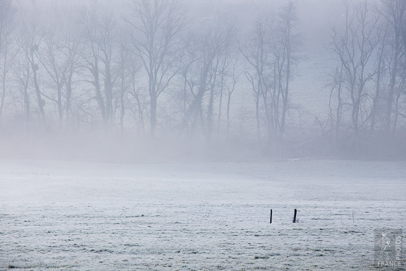 Frozen field