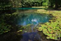 Blue pond