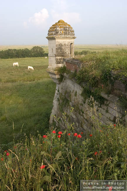 Brouage poivrière