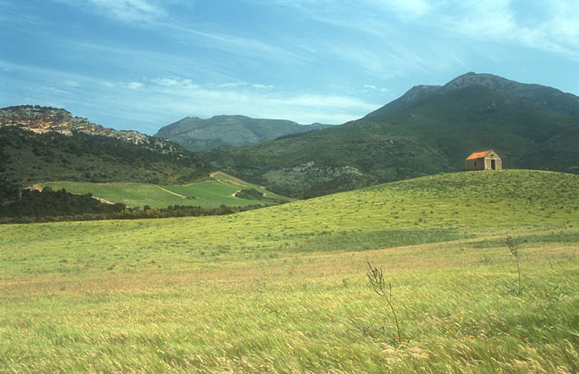 Small house in Patrimonio