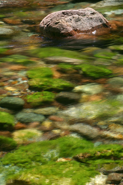 Red rock in a green stream