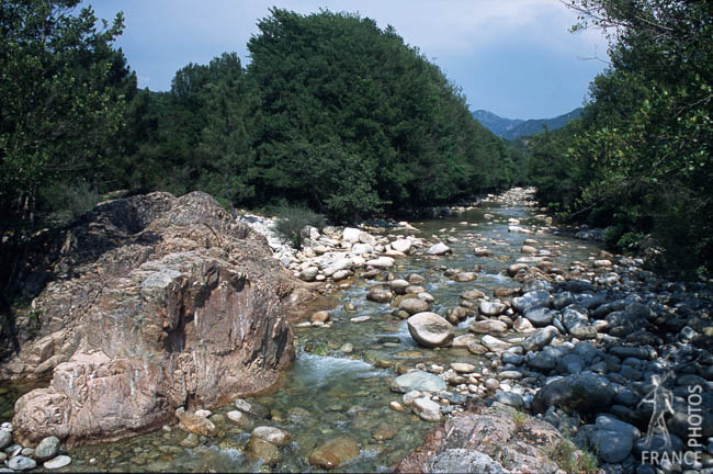 Cruzini river
