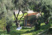 Hut in an olive grove