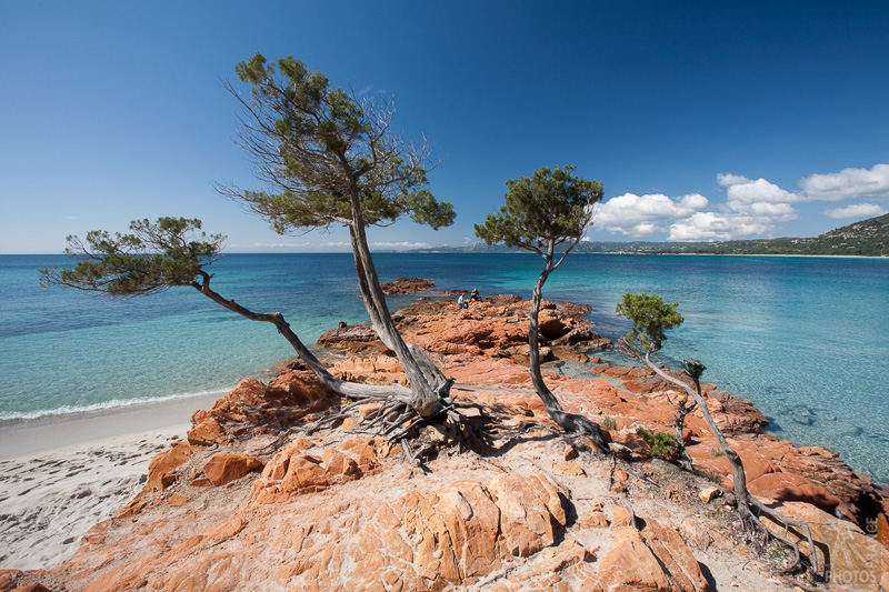 Palombaggia beach