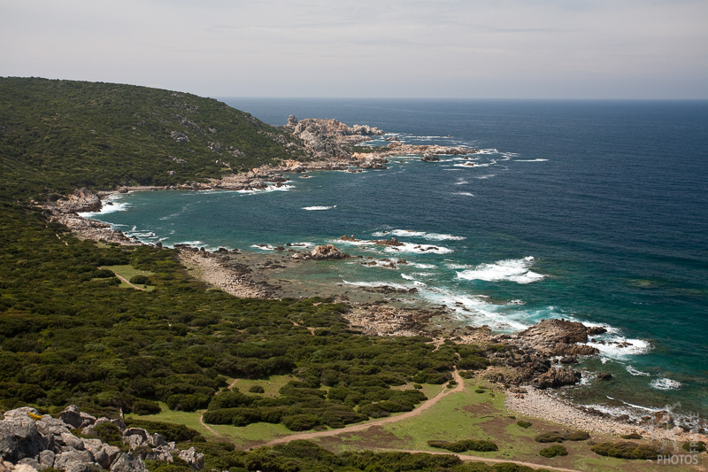 View from the tower