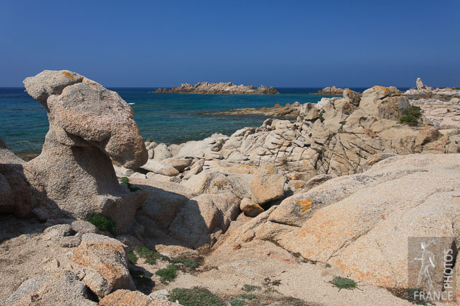 Corsican seashore
