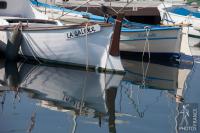 Pointus in the Cannes old harbor