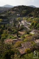 Mediterranean landscape