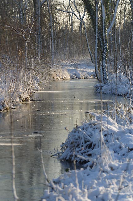 Frozen canal