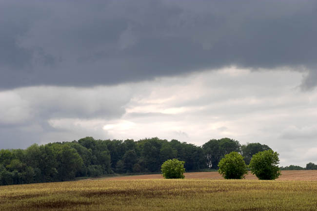 Overcast weather on the Brie