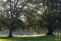 Benches under the trees