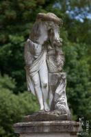 Young lady combing her hair