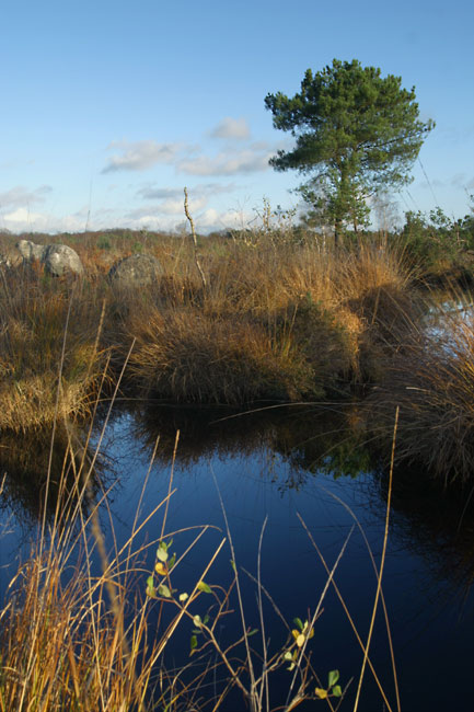 Blue pond on the hill