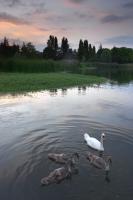 Créteil lake