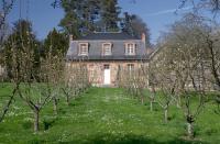 Apple orchard in early Spring