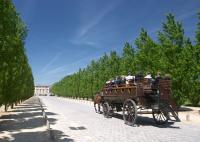 Horse carriage heading for the Grand Trianon