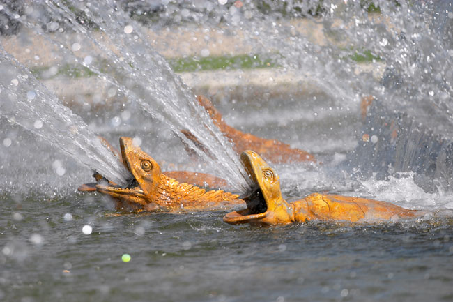 The Fontaine de Latone during the Grandes Eaux