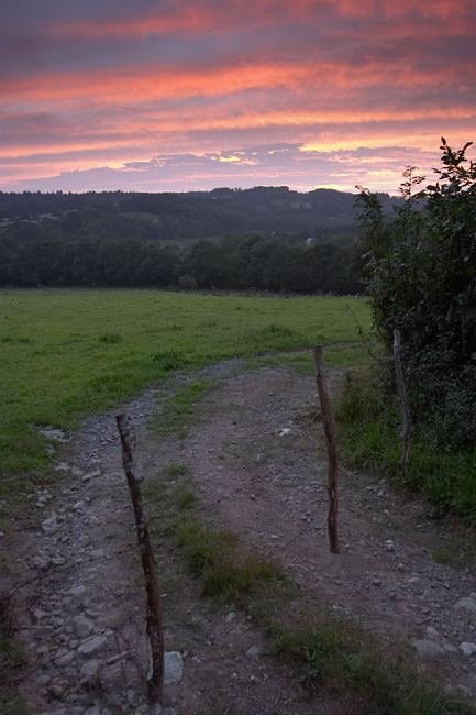 Field gate sunset