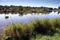 Pond at La Courtine