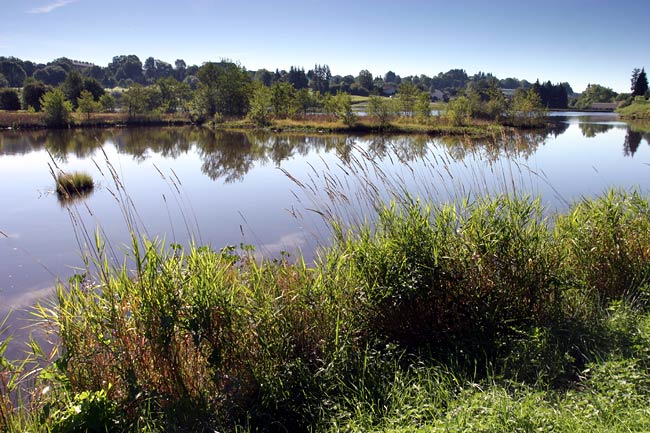 Pond at La Courtine