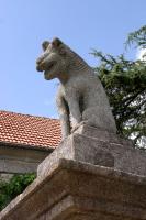 Watchdog of Masgot