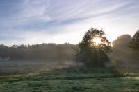 Early morning sun rays